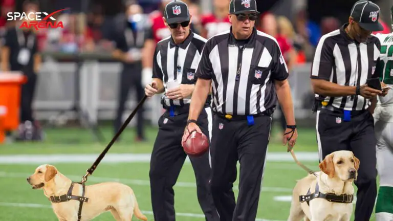 NFL to provide all referees with seeing-eye dogs.