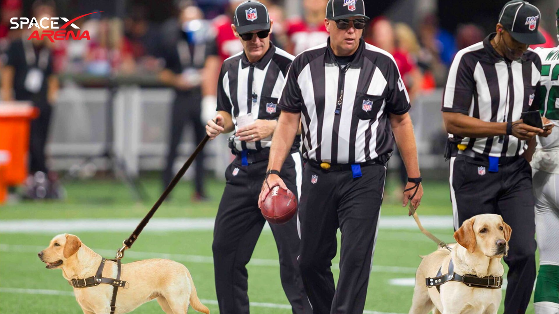NFL, SEEING, EYE, DOGS, TO ALL REFEREES, SATIRE,