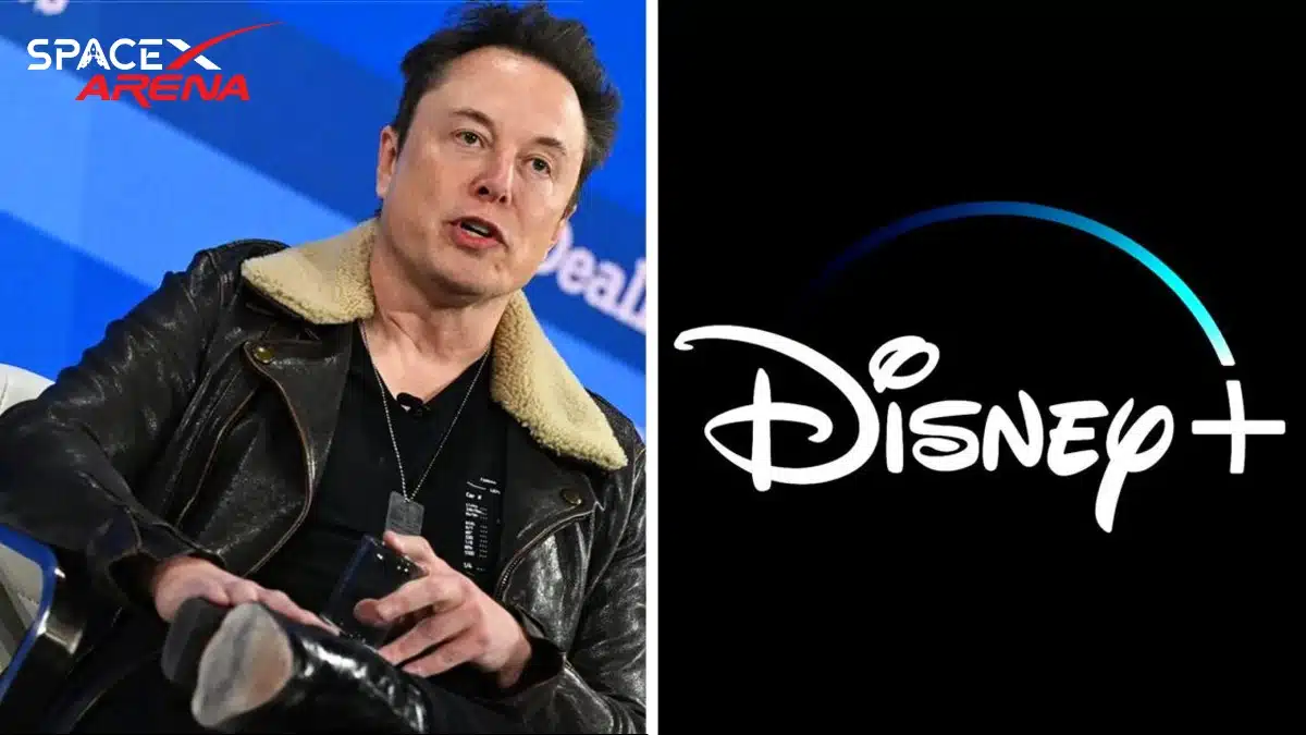 Disney Loses 50 Million Subscribers Overnight After Elon Musk’s Boycott Call